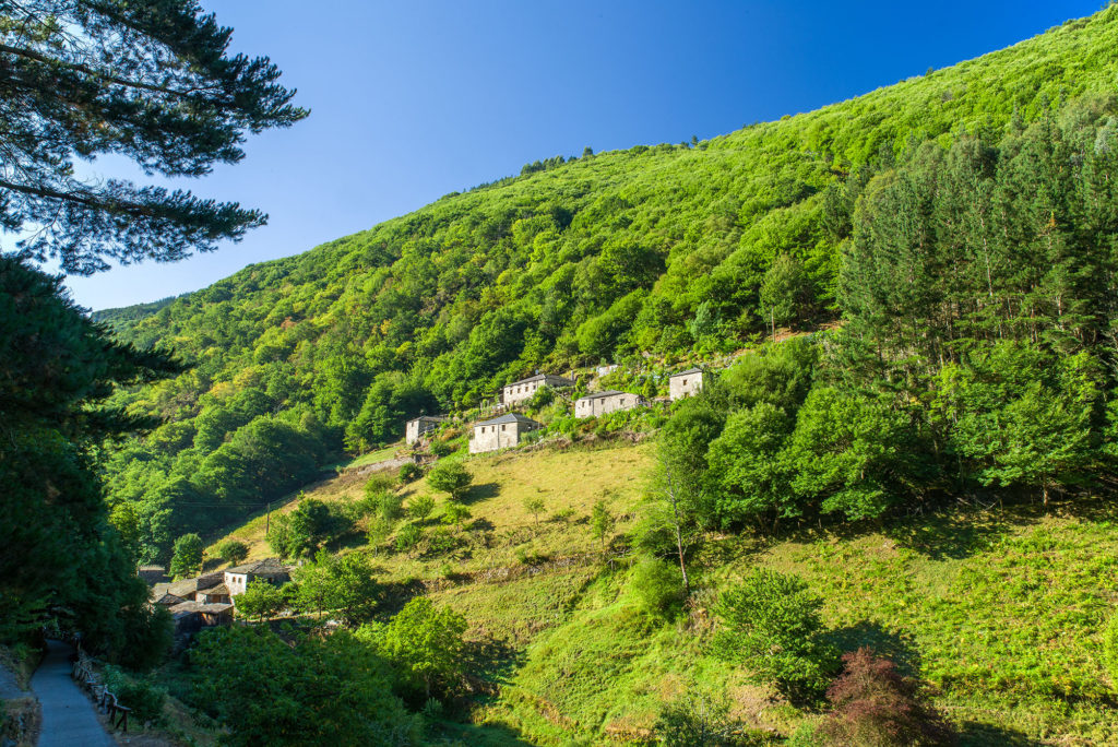 Ruta Teixo
