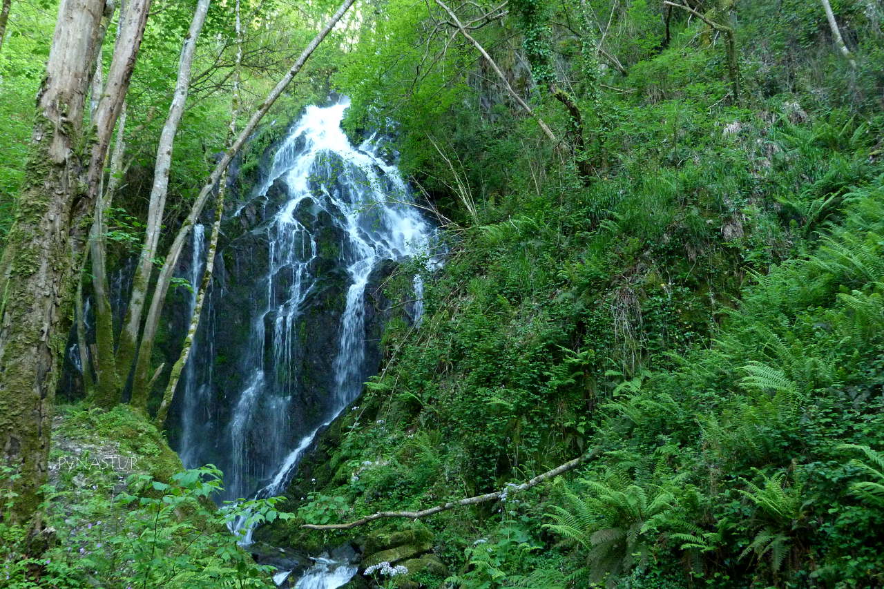 RUTA DEL AGUA