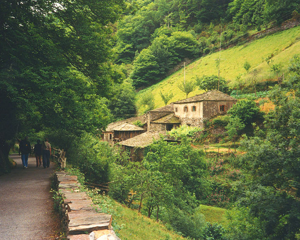 Casas Rurales Taramundi