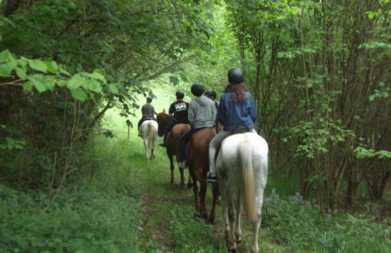 Rutas a caballo en Meira