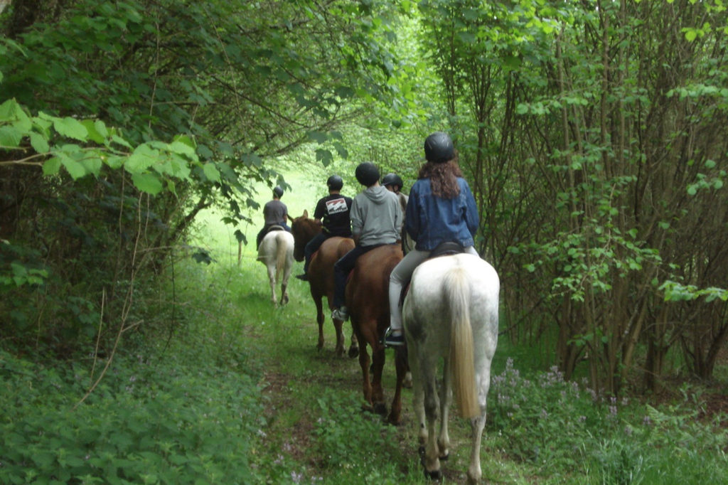 Rutas a caballo en Meira