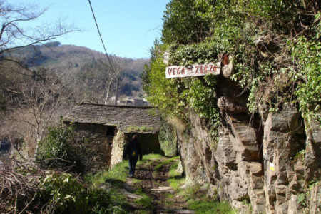 tareira-ruta-ferreiros