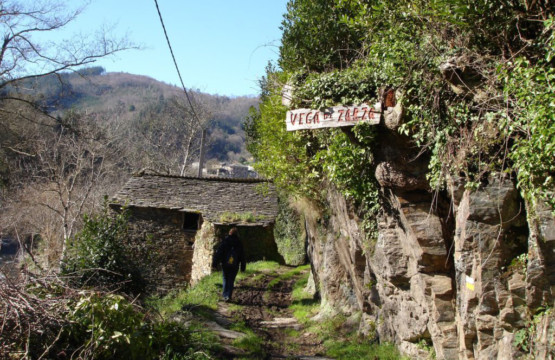 tareira-ruta-ferreiros